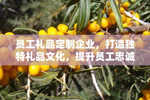 员工礼品定制企业，打造独特礼品文化，提升员工忠诚度与归属感