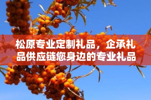 松原专业定制礼品，企承礼品供应链您身边的专业礼品定制公司