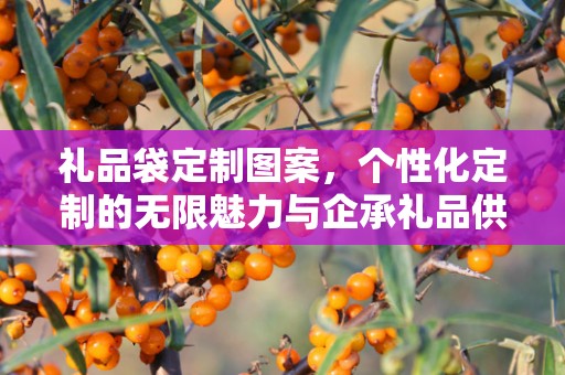 礼品袋定制图案，个性化定制的无限魅力与企承礼品供应链的独特优势